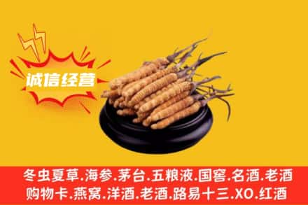 武汉江岸区回收冬虫夏草